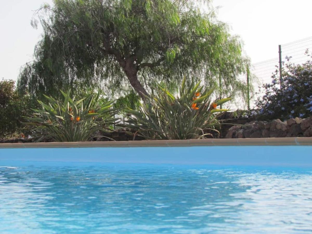 Wind Wave 28B - Heated & Shared Pool Villa La Oliva Exterior photo
